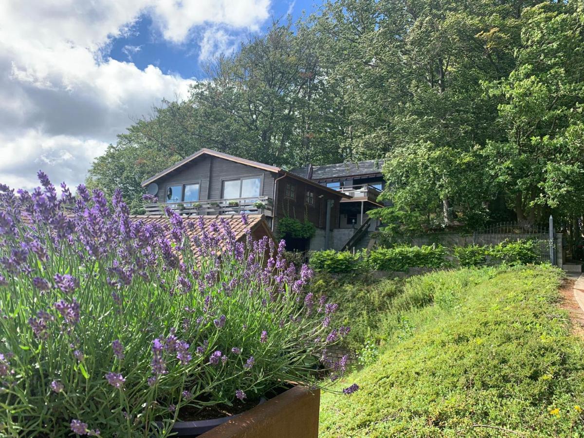 Chalet De La Sabliere Amougies Dış mekan fotoğraf