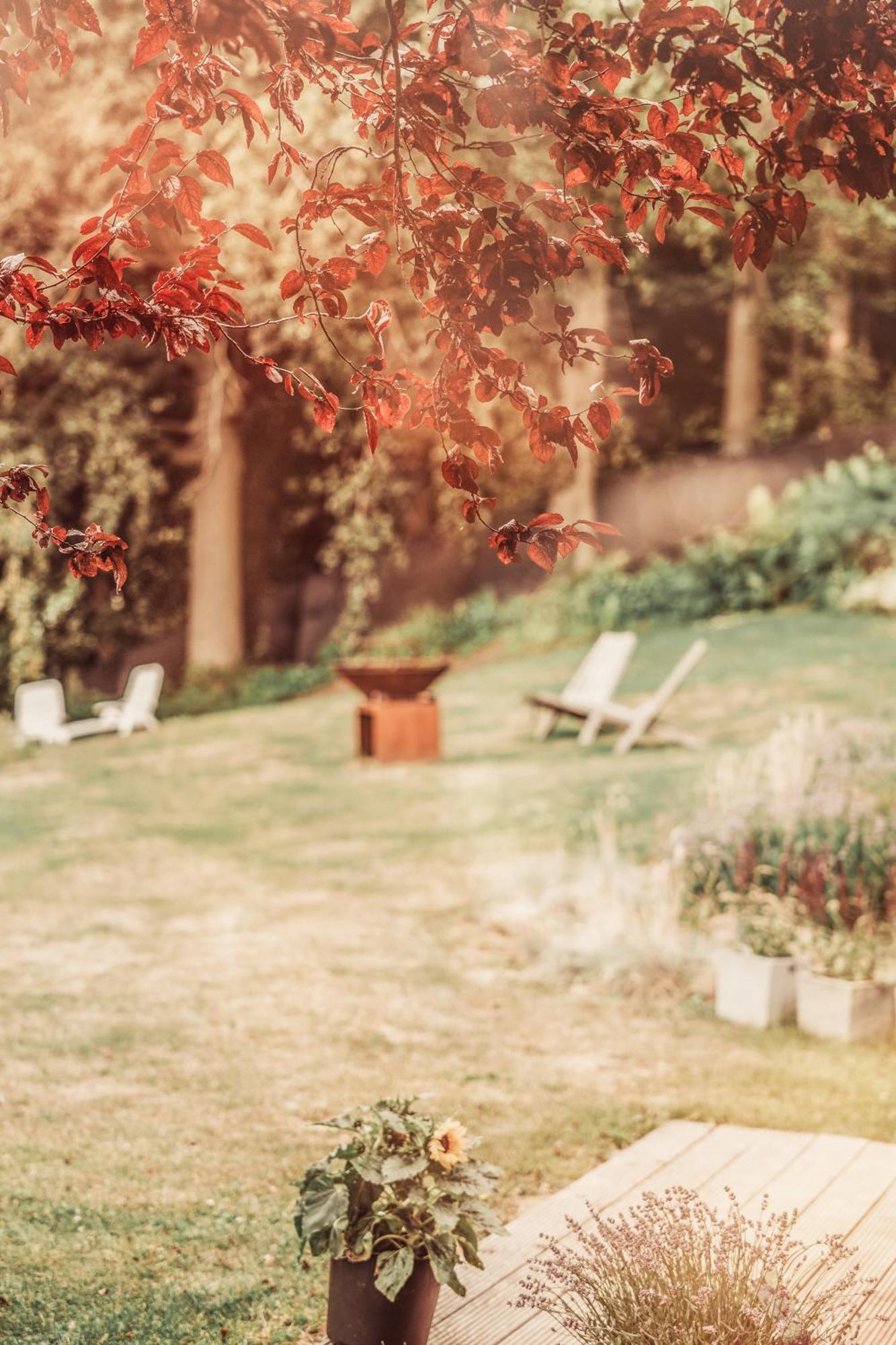 Chalet De La Sabliere Amougies Dış mekan fotoğraf